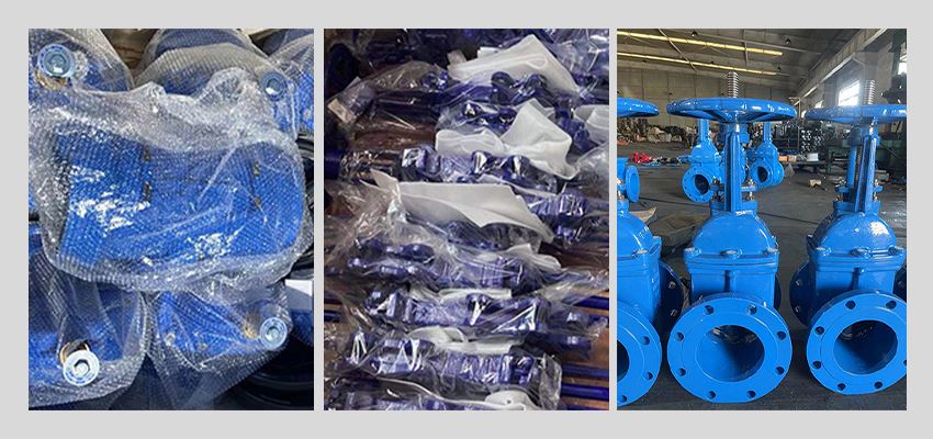 rising stem seat gate valve package