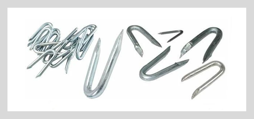 Fencing Staples U Shaped Nails types