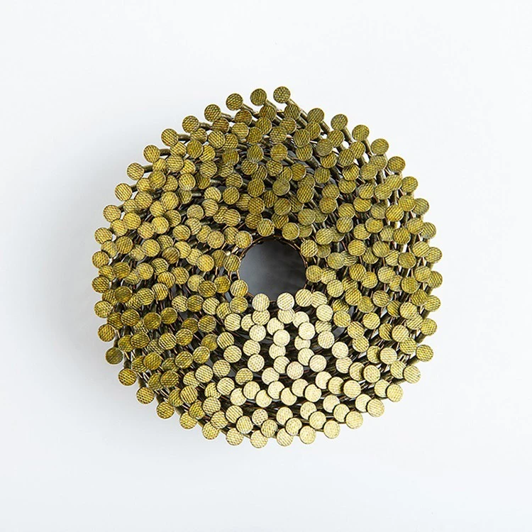 stainless steel coil nails